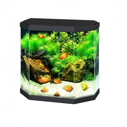 2ekans Ciano Aqua 30 LED | 25L | 40 x 20 x 45,5CM Zwart