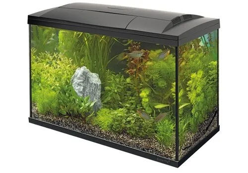 2ekans Superfish Start 100 Tropical Kit | 93L | 68 x 34 x 46 CM Zwart