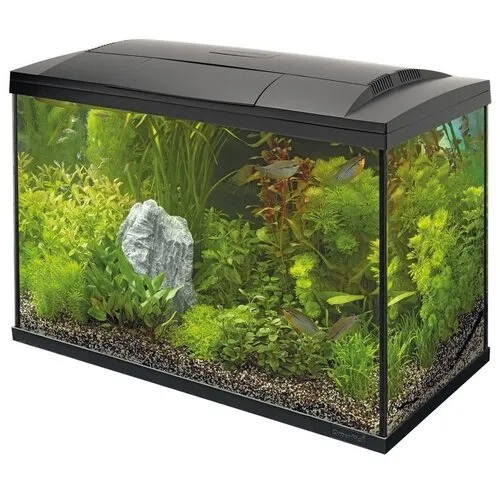 2ekans Superfish Start 100 Tropical Kit | 93L | 68 x 34 x 46 CM Zwart