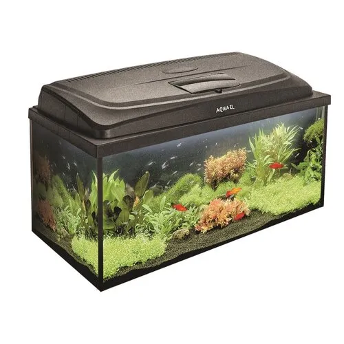 2ekans Aquael Classic Box 80 Straight Dag & Nacht | 112L | 80 x 35 x 40CM