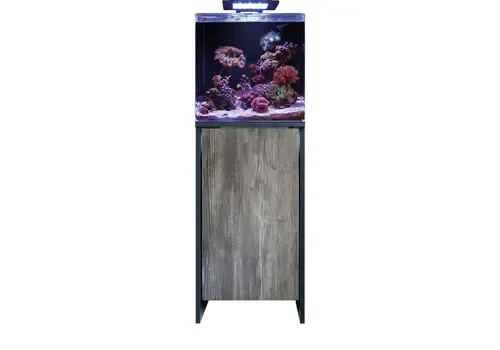 2ekans Blue Marine Reef 90 Meubel Black/Pasa | 50.5 x 45.5 x 87 CM