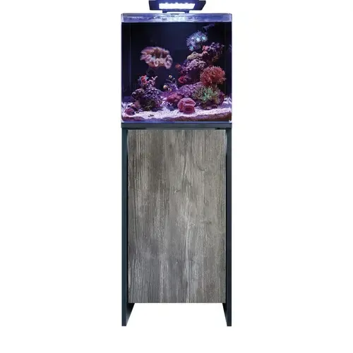 2ekans Blue Marine Reef 90 Meubel Black/Pasa | 50.5 x 45.5 x 87 CM