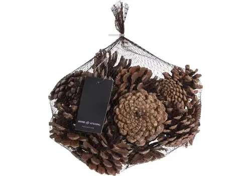 Home & Styling Dennenappel set naturel
