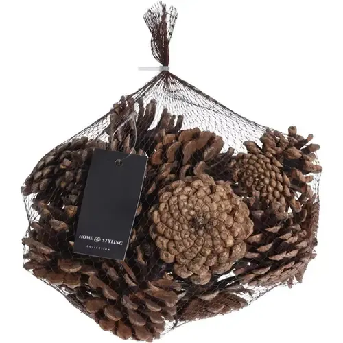 Home & Styling Dennenappel set naturel