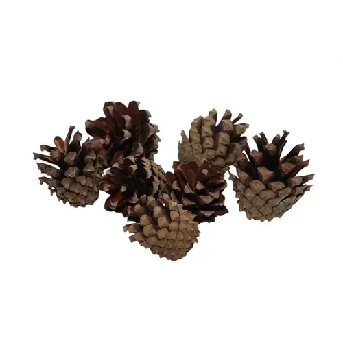 HBX Natural Living Dennenappel zak naturel