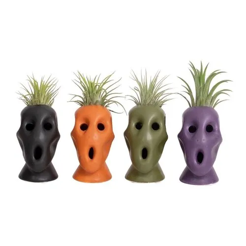 JUNAVERA Halloween bloempotje met Tillandsia | 4 cm pot | 12 cm hoog