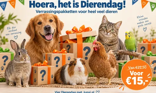 Dierendag bij Junai.nl