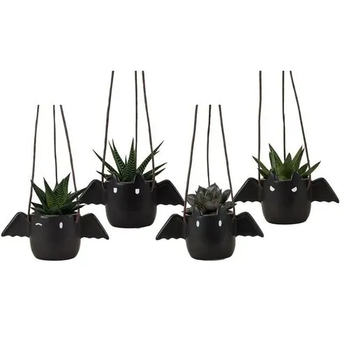 Junai.nl Succulenten mix 4 soorten in vleermuis hangpot | 6 cm pot | 15 cm hoog | per stuk
