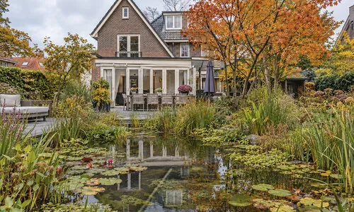 Vijver helder houden met planten