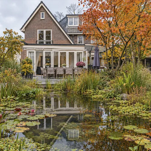 Vijver helder houden met planten
