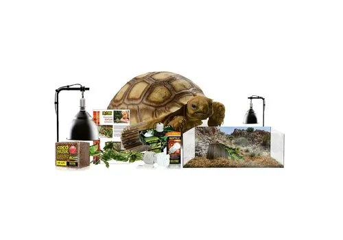 Exo Terra Terrarium starterkit landschildpad