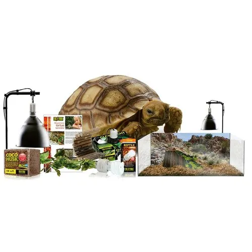 Exo Terra Terrarium starterkit landschildpad