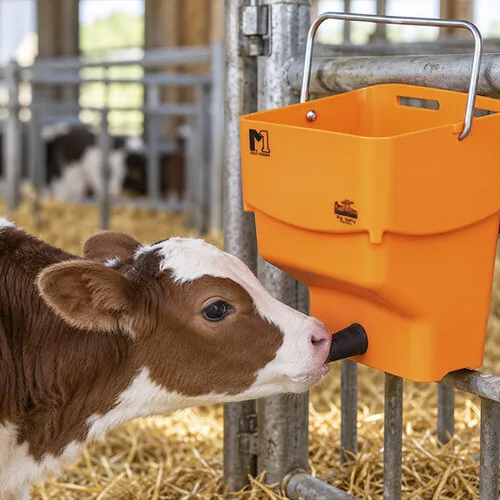 Shoof Kalf Feeder M1 in de aanbieding | Slim kalveren voeren