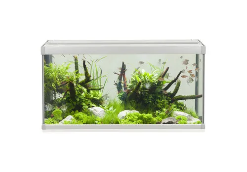 2ekans Akvastabil Family 80 | 112L | 80 x 35 x 42CM Grijs/wit