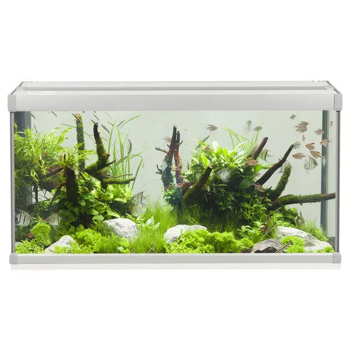 2ekans Akvastabil Family 80 | 112L | 80 x 35 x 42CM Grijs/wit