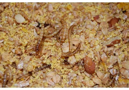 Hadivo Kippenmuesli met meelwormen 1,25 kg