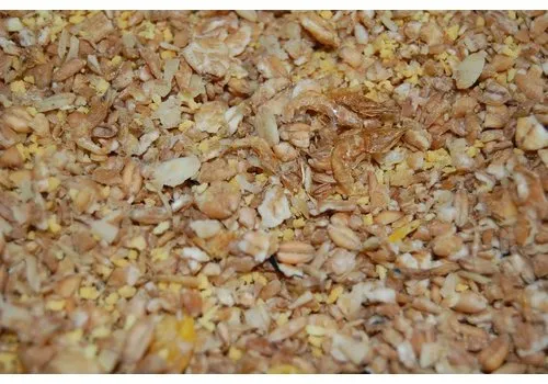 Hadivo Kippenmuesli met garnaaltjes 1,25 kg Hadivo Kippenmuesli met garnaaltjes 1,25 kg