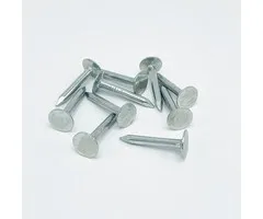 Rheinzink Asfaltnagel gegalv. 3x25 mm (per 10 stuks)