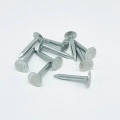 Rheinzink Gegalvaniseerde asfaltnagel 3x25 mm (per 10 stuks)