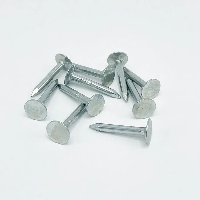 Asfaltnagel gegalv. 3x25mm (per 10 st)