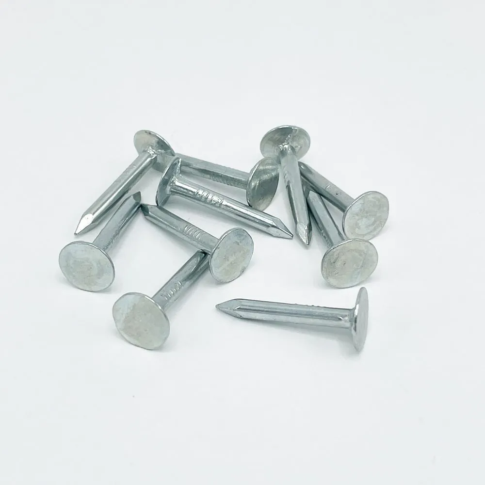 Rheinzink Gegalvaniseerde asfaltnagel 3x25 mm (per 10 stuks)
