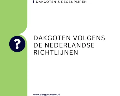Dakgoten volgens Nederlandse richtlijnen